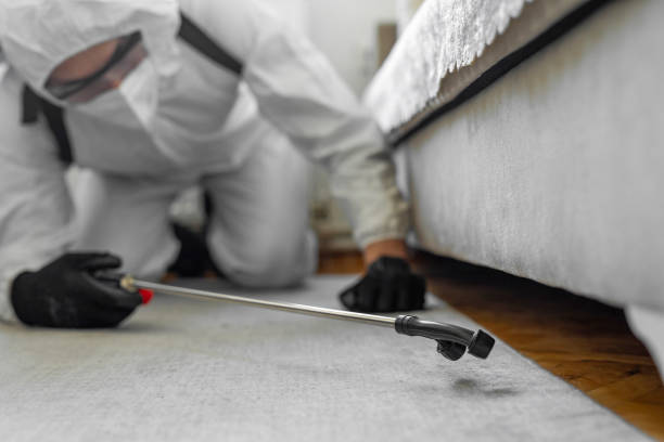 Professional Bed Bug Control technician working in Paducah, TX
